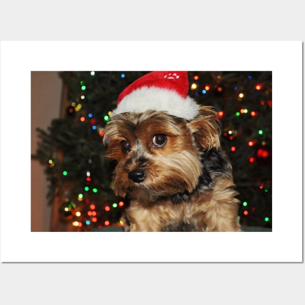 Cute Yorkshire Terrier Yorkie Puppy with Santa Hat Wall Art by AdrianaHolmesArt